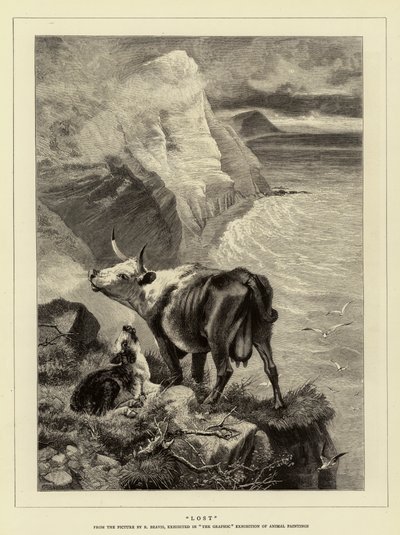 Lost by Richard Beavis